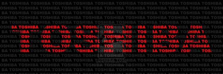 Toshiba/IBM yazar kasa pos servisi; Tüm detaylar ve incelikler